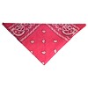 RTD-1015 - Pink Fuchsia Paisley Bandana