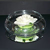 RTD-1434 - 3 piece Floating White Rose
