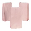 RTD-2316 - Pastel Pink Paper Treat Bags