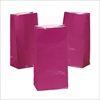 RTD-2318 - Fuchsia Hot Pink Paper Treat Bags